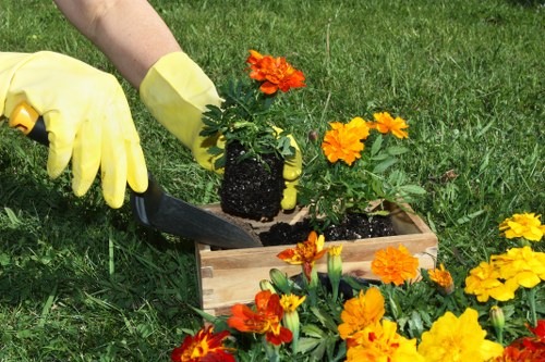 Hands planting seeds in a community garden bed, showing inclusive participation
