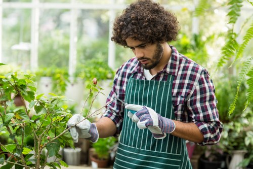 Sustainable gardening practices in Barnet