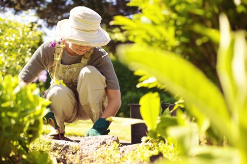 Native plants enhancing a Barnet garden